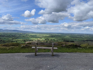 An Insider's Perspective of Scenic Ireland - Post #1