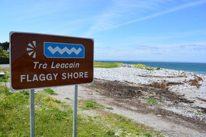 Irish Insiders: Ward’s Top “3” Places to Picnic