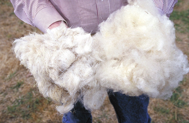 Wool Types: What Are They & What Do They Mean?