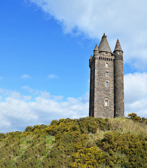 The Irish Diaspora: Connecting to Our Roots