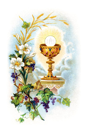 My First Holy Communion in Ireland