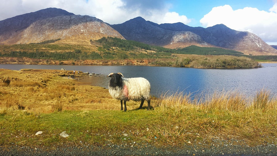 Connemara: My Experience of Ireland's Wild Atlantic Way