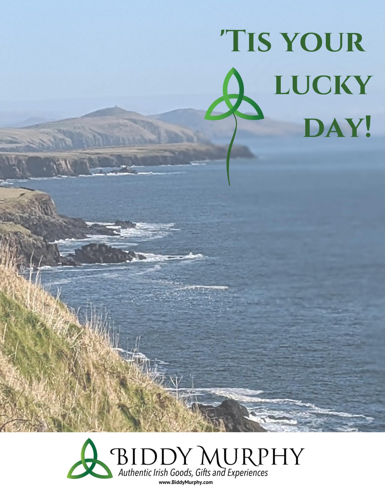 Irish Gold-Plated Shamrock Pendant Necklace with Green Enamel