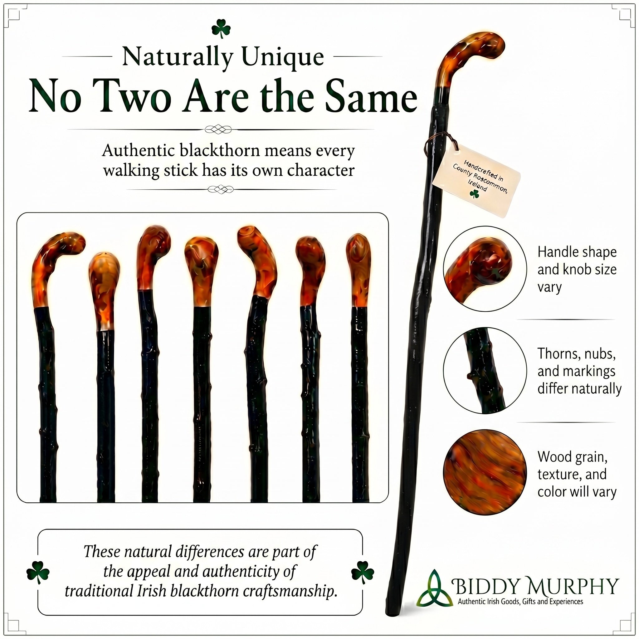 Shillelagh Walking Stick with Box, Handcrafted in Ireland Blackthorn Wood Cane, Black Lacquered Finish